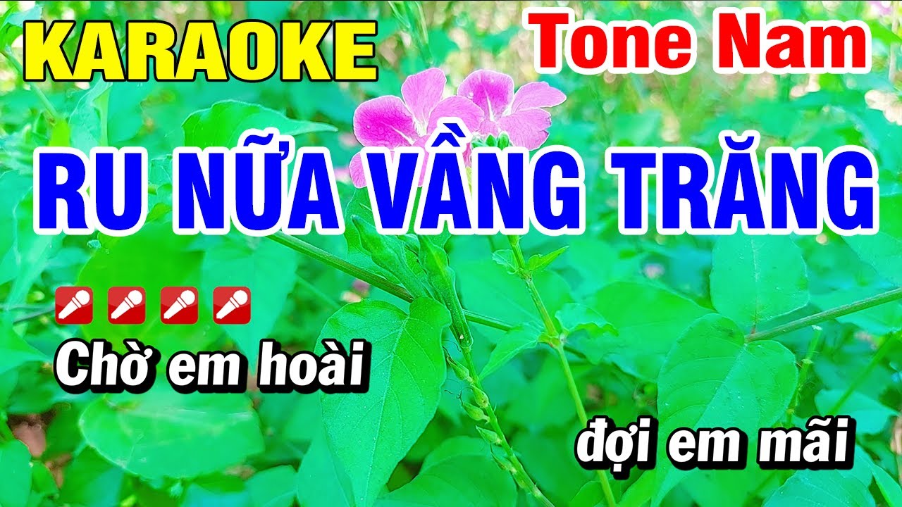 Karaoke Ru Nửa Vầng Trăng Nhạc Sống Tone Nam | Hoài Phong Organ
