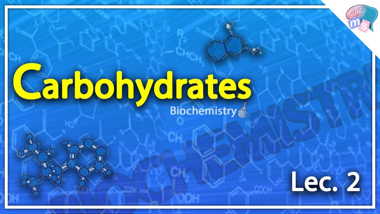 [[Biochemistry]] : ( Carbohydrates ) Lec.2