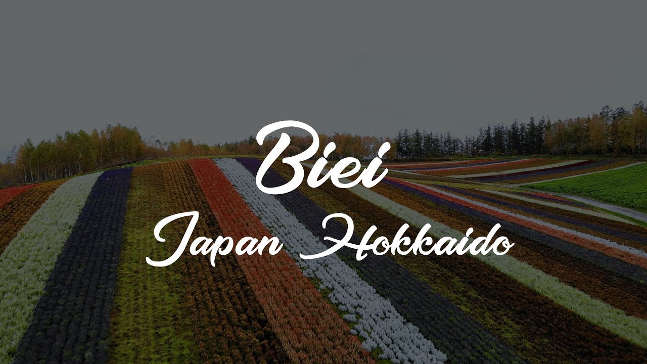 Biei Hokkaido Japan Travel Autumn (美瑛)