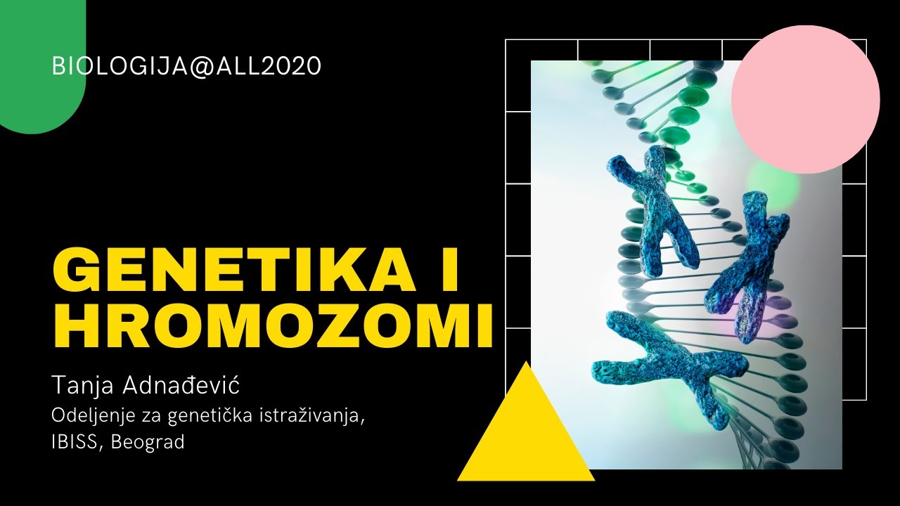 O genetici i hromozomima - Tanja Adnađević // Biologija@ALL2020
