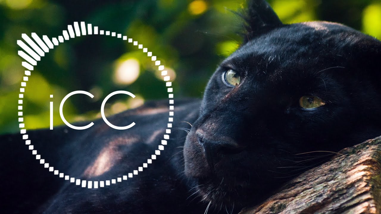 Symbiose ft. Simon Rosenfeld - Keep Drivin' (Vigilancer Remix)  | [iCC Release]