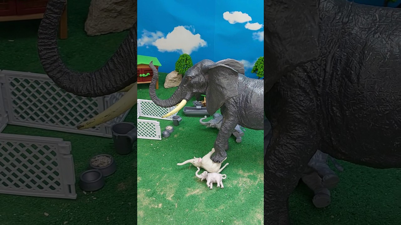 Small VS Giant Elephant 