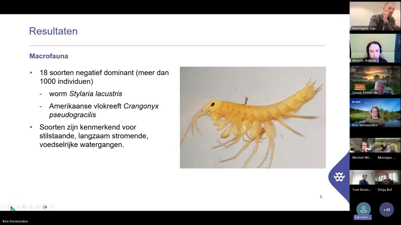 Waterkwaliteit | CoP Beken en Rivieren Webinar 'Ervaring beekhout voor KRW', Kim Vermonden | 2025