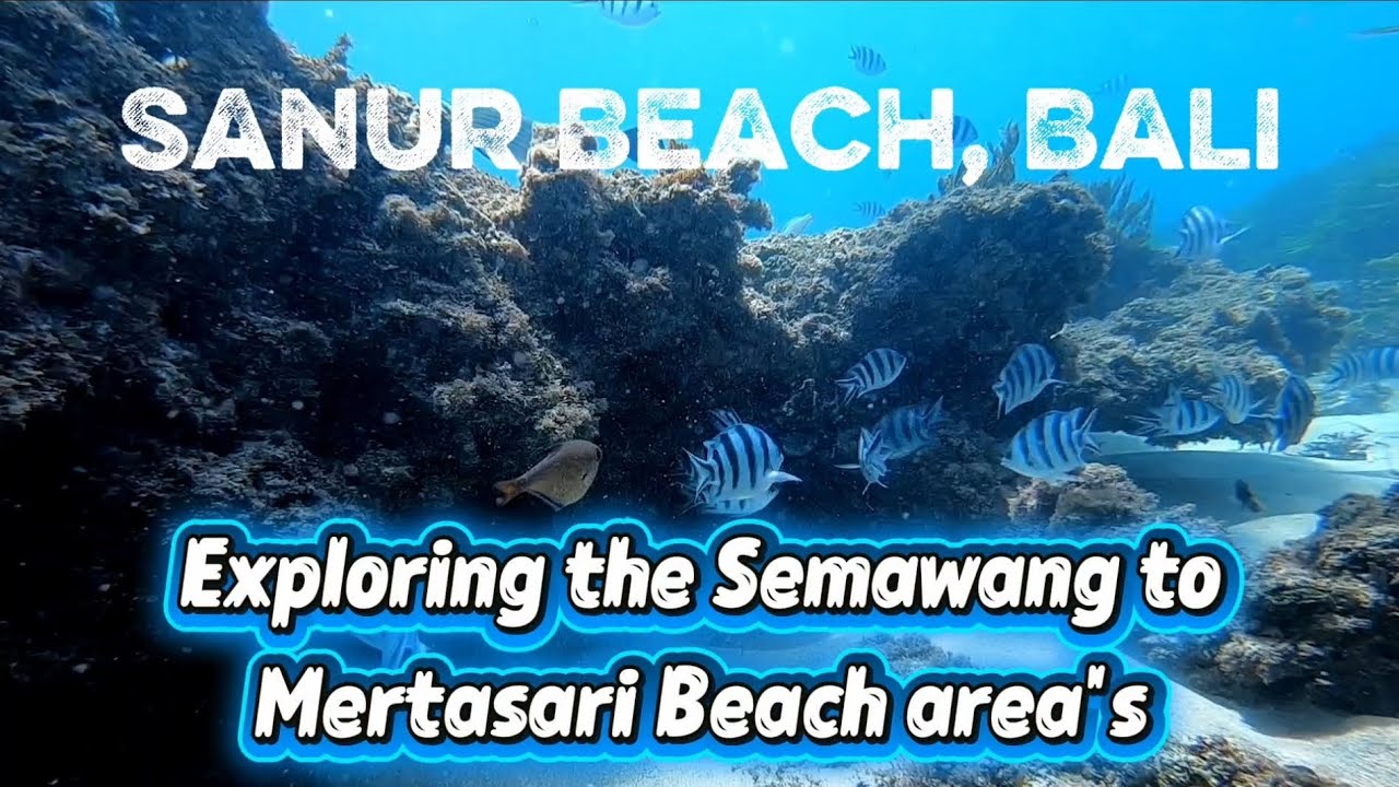Bali's Sanur Beach and exploring it's hidden coral reef system for diving and snorkelling.