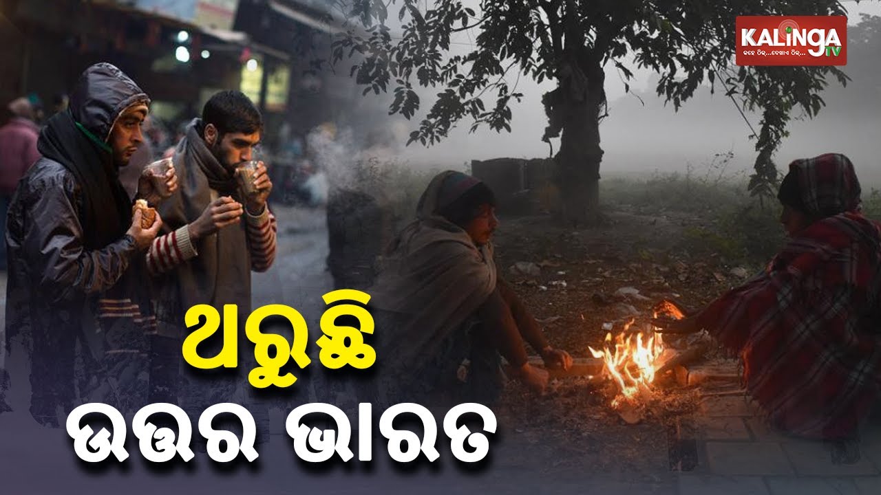 Cold Wave Grips North India, Rajasthan's Churu Records 0&deg; Celsius || KalingaTV