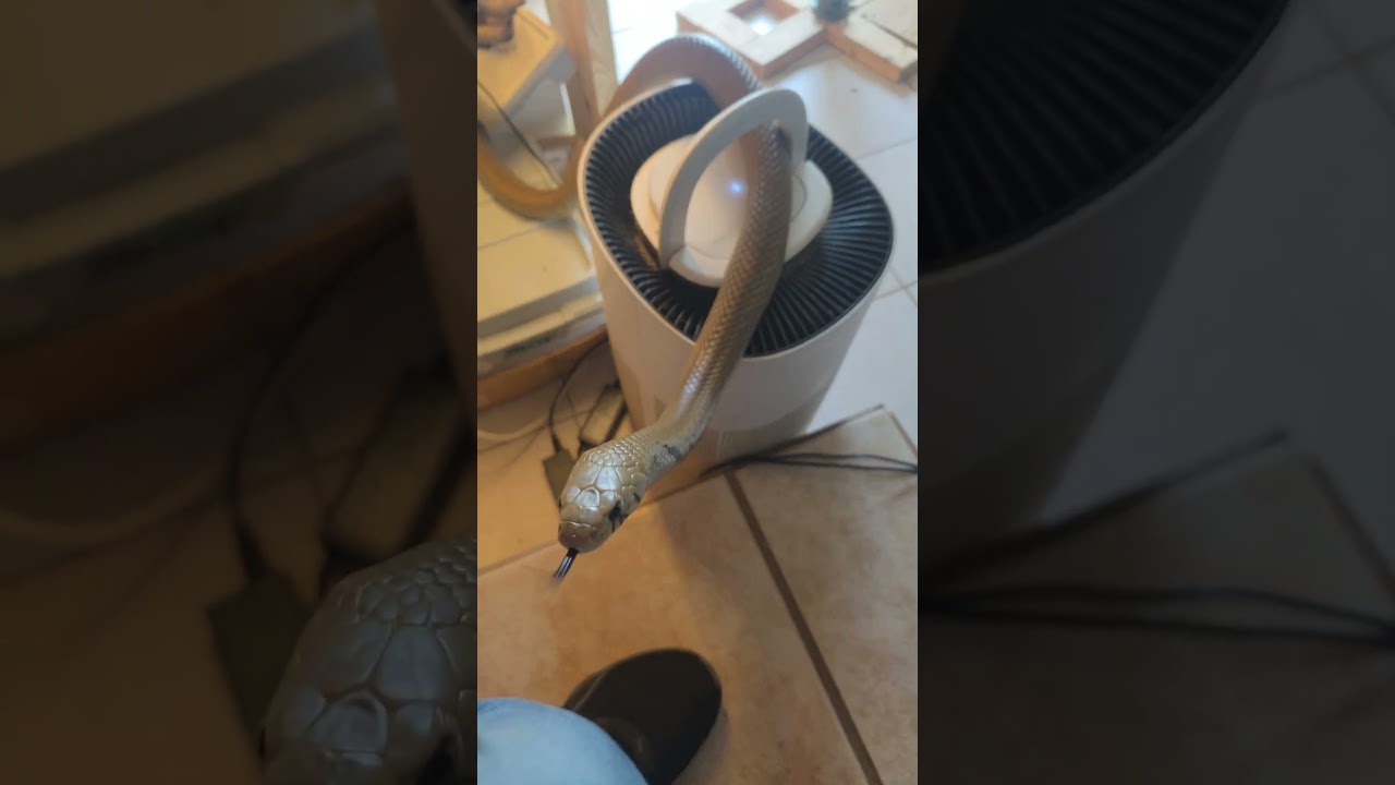 He's a Daddy's boy 😂😍 