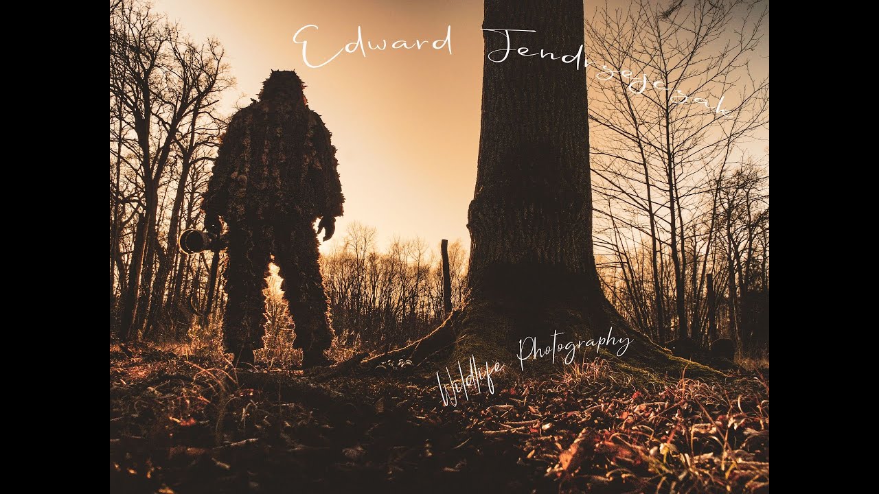 Edward Jendrzejczak Fotografia przyrodnicza .Pierwsze  Jelenie w Życiu 2020.