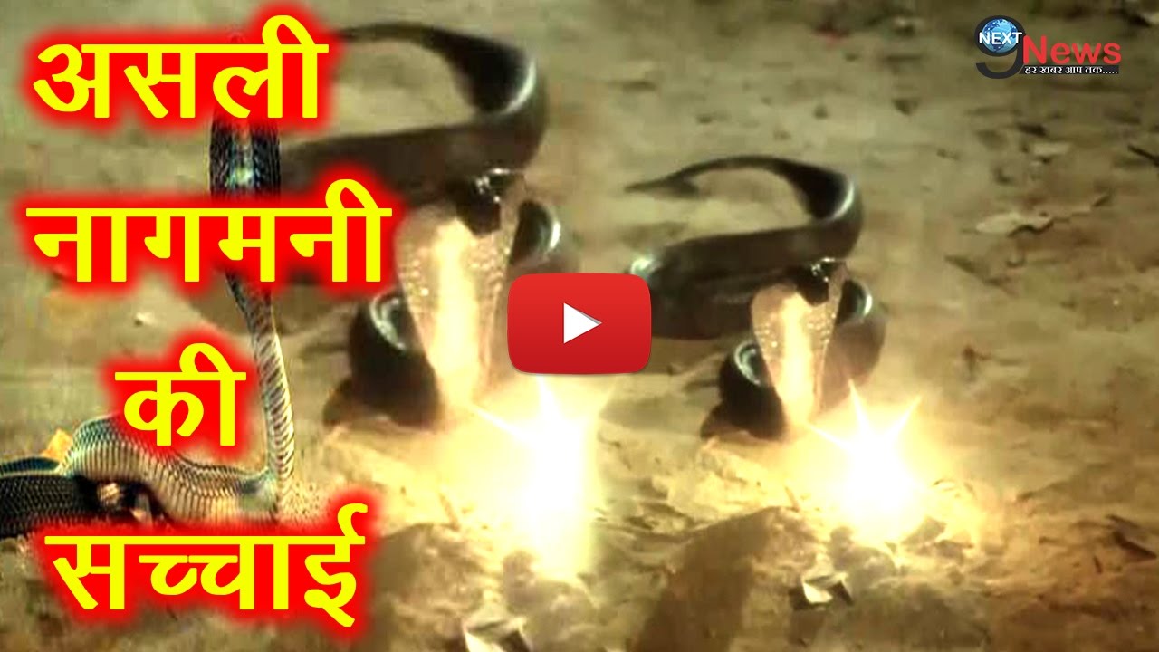 क्या है इच्छाधारी नागमणि का रहस्य ??? | Untold Mysterious Story Of ‘nagamani’