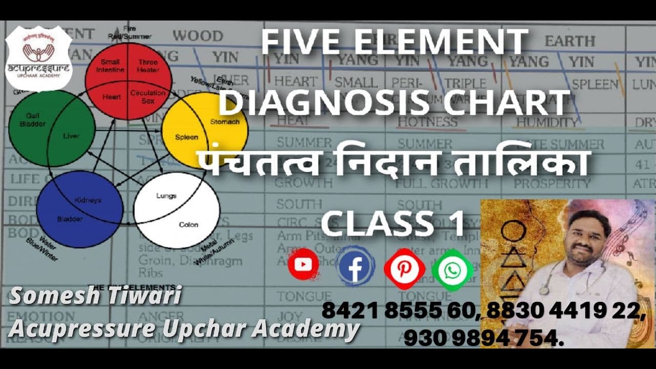 Five Element | Diagnosis Chart Class 1 | Know Your Element | TCM- Traditional Chinese Medicine