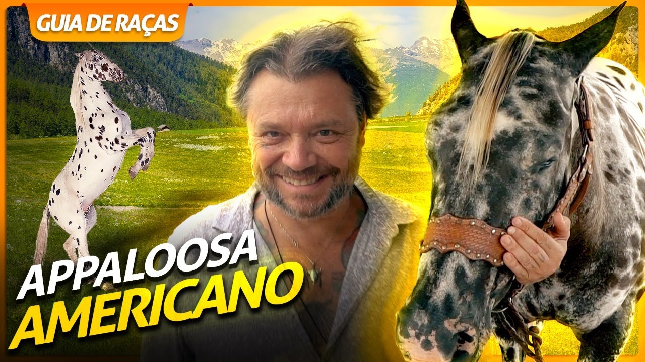 APPALOOSA, O CAVALO PINTADO DOS ÍNDIOS NORTE AMERICANOS! | RICHARD RASMUSSEN