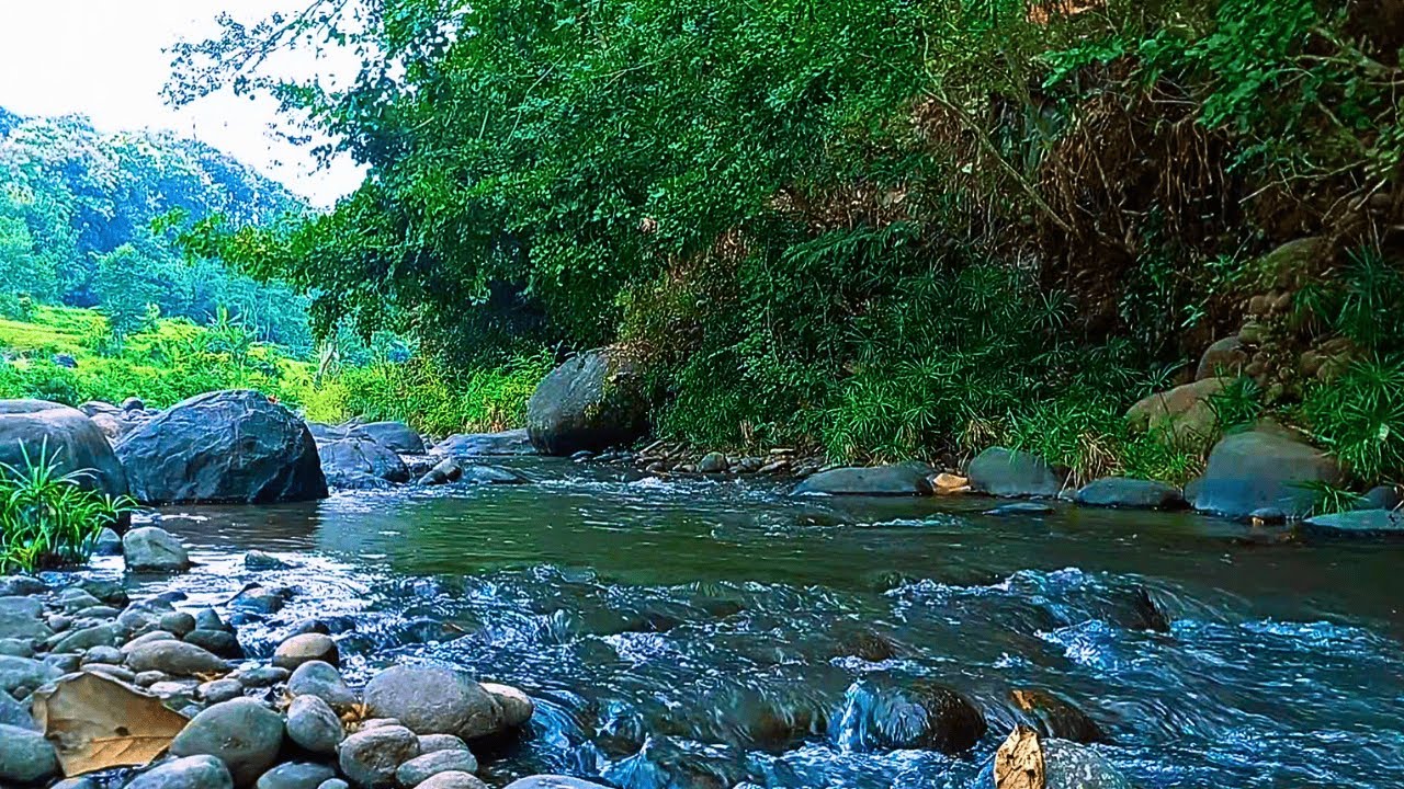 RELAXING SOUNDS FOR SLEEPING | BEAUTIFUL STREAM AND FOREST RIVER FOR RELAXATION & MEDITATION #b57