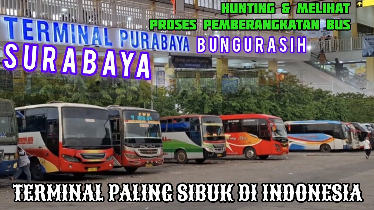 Part. 1‼️HUNTING TERMINAL PURABAYA BUNGURASIH - SURABAYA❗️TERMINAL BUS PALING SIBUK DI INDONESIA 😱
