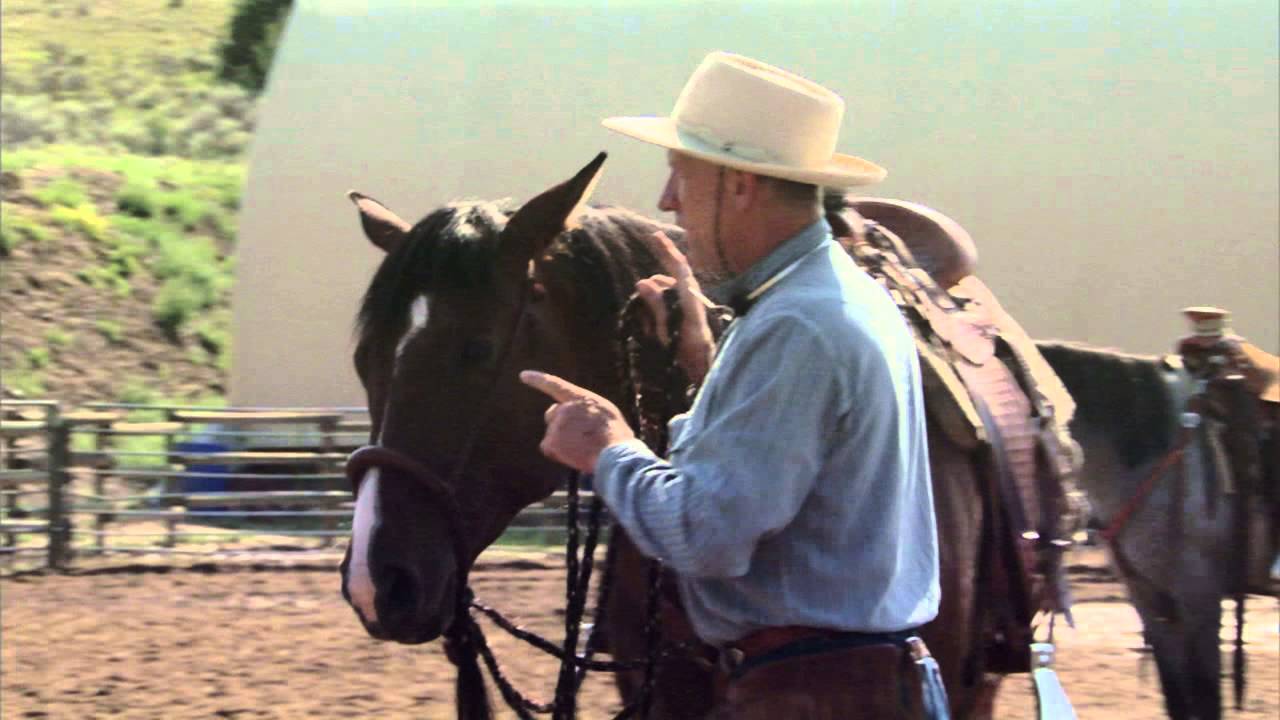 7 Clinics with Buck Brannaman - SNEAK PEEK 