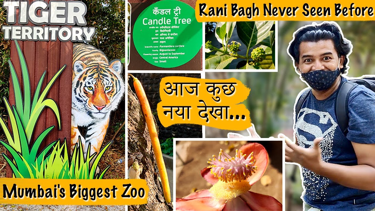 Rani Bagh Mumbai | Veermata Jijabai Bhosale Udyan and Zoo | Heritage Tree Walk