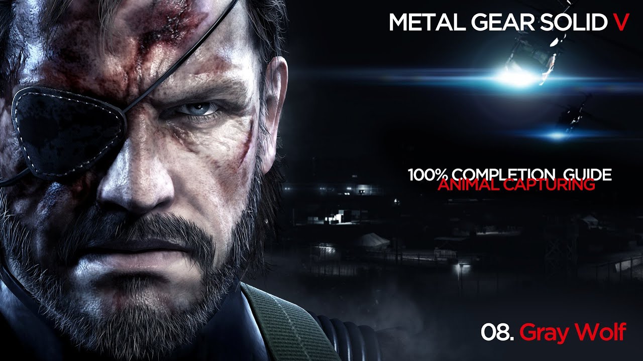 MGSV 100% Completion list (Animal capturing): 08. Gray Wolf [60fps]