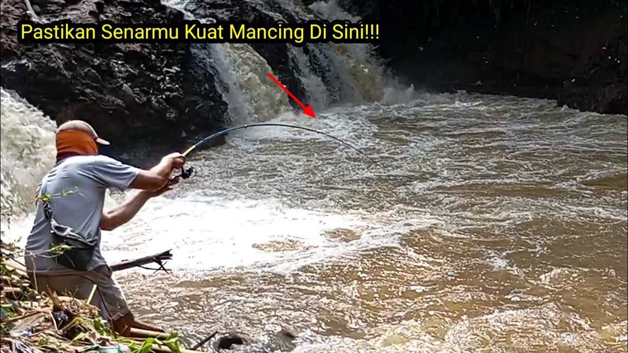 GILAI!!! TARIKAN BAUNG BESAR MEMANG NGERI BIKIN JANTUNGAN