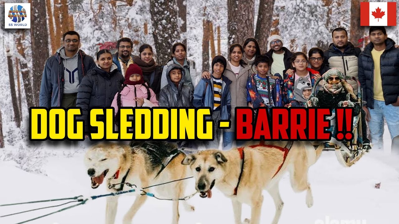Dog Sledding -Barrie -Ontario -Canada !