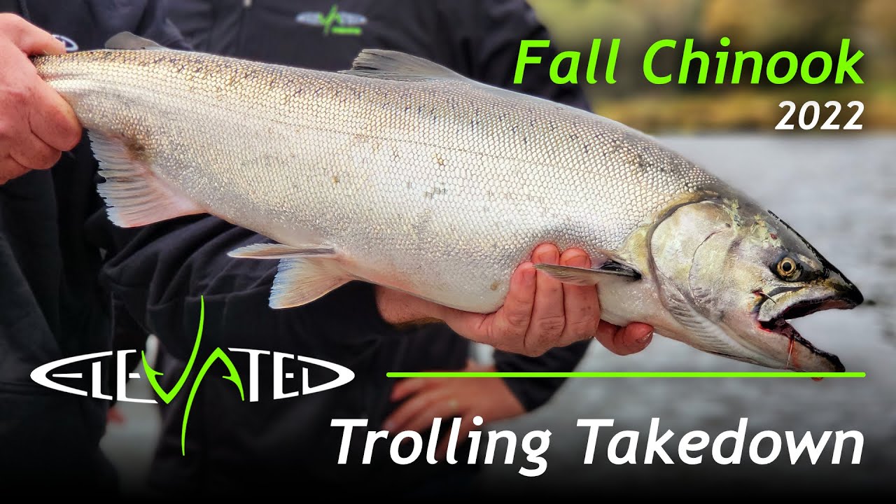 Chinook Takedown | Oregon Salmon 2022 | Quick Clip