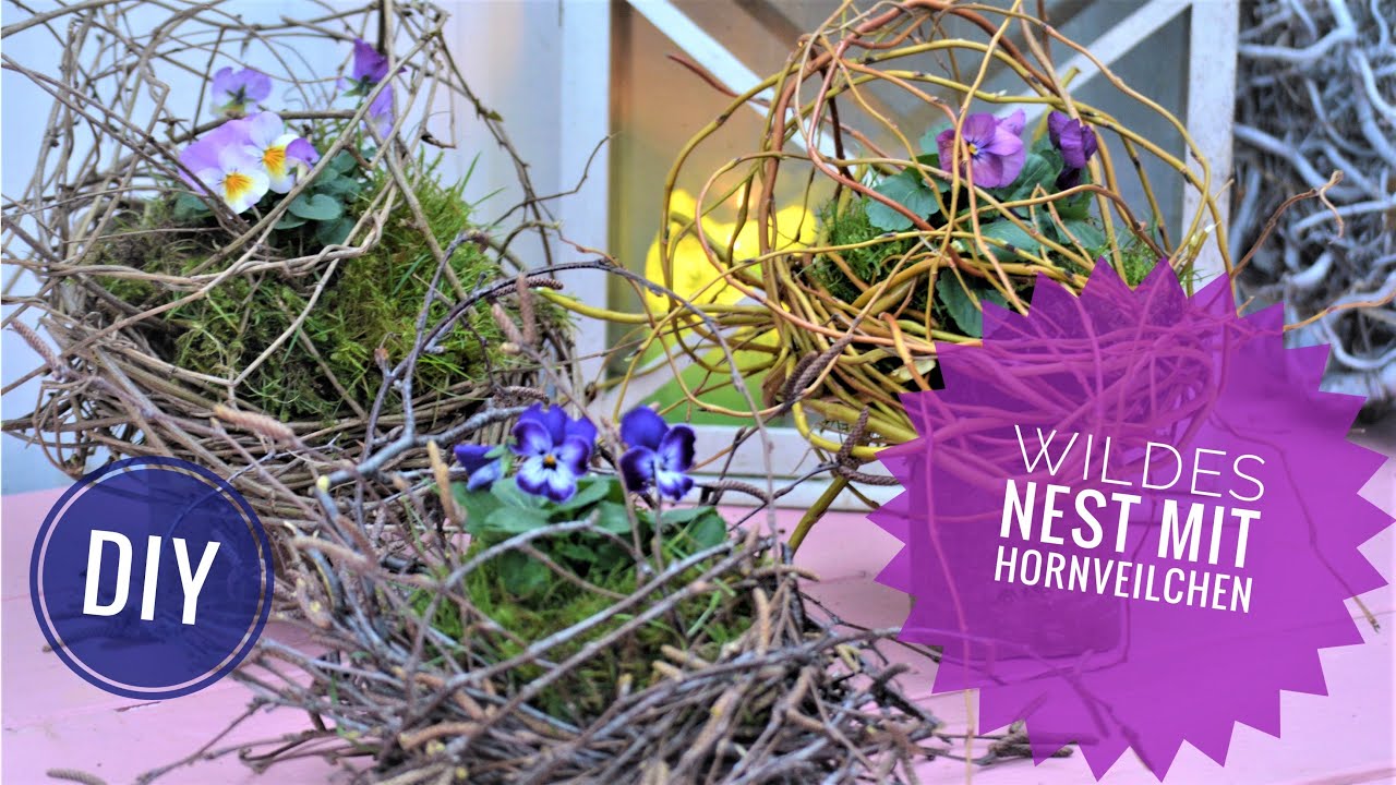 DIY: WILDES NEST mit HORNVEILCHEN - drei verschiedene NATURMATERIALIEN zum Nestbau