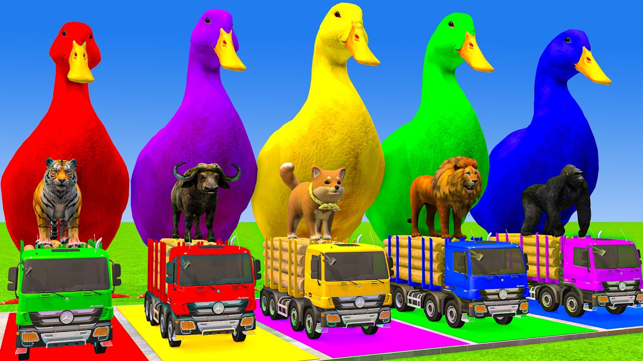 Long Slide Game With Cow Elephant Gorilla Hippopotamus Tiger 3d Animal Game Funny 3d Animals