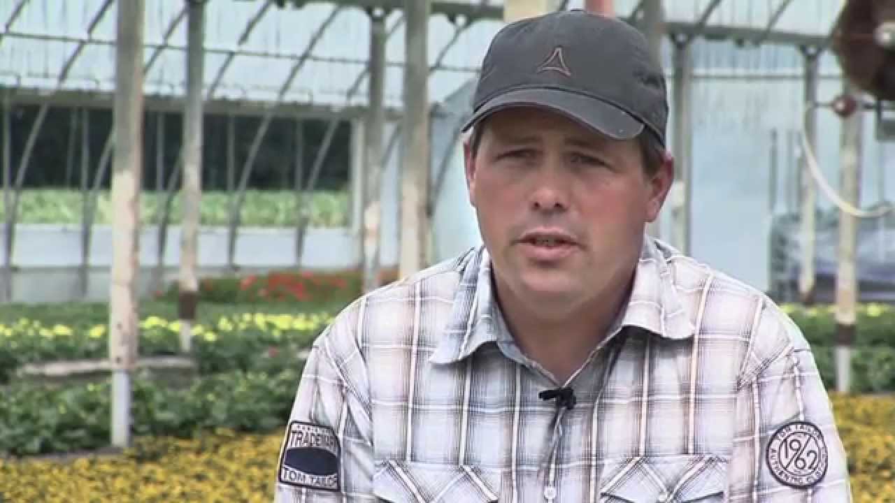 Johannes Willems: Stolzer Anlieferer von Veiling Rhein-Maas