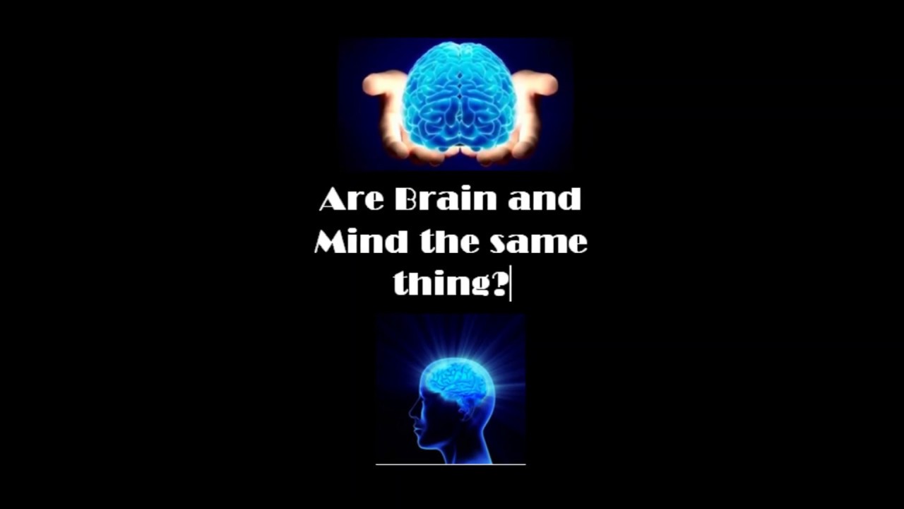 Difference between mind and brain