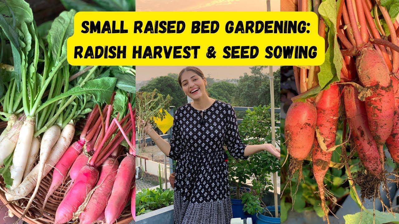 See the Harvest I got from my 