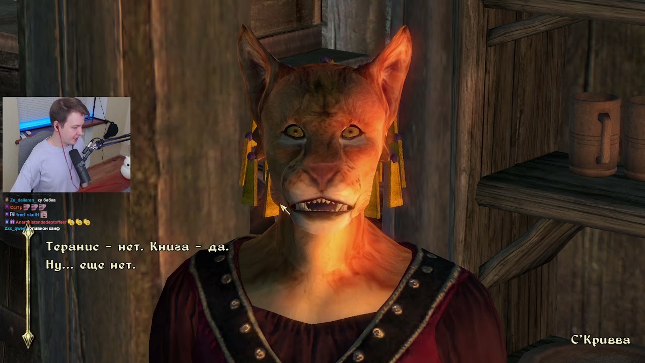 The Elder Scrolls IV: Oblivion - День 3