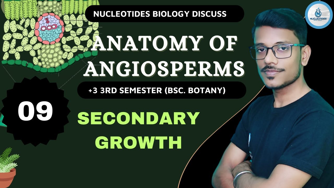 Secondary Growth In Stem ||Spring Wood - Autmn Wood || Anatomy of Angiosperms ||+3 3rd Sem || Lec-09