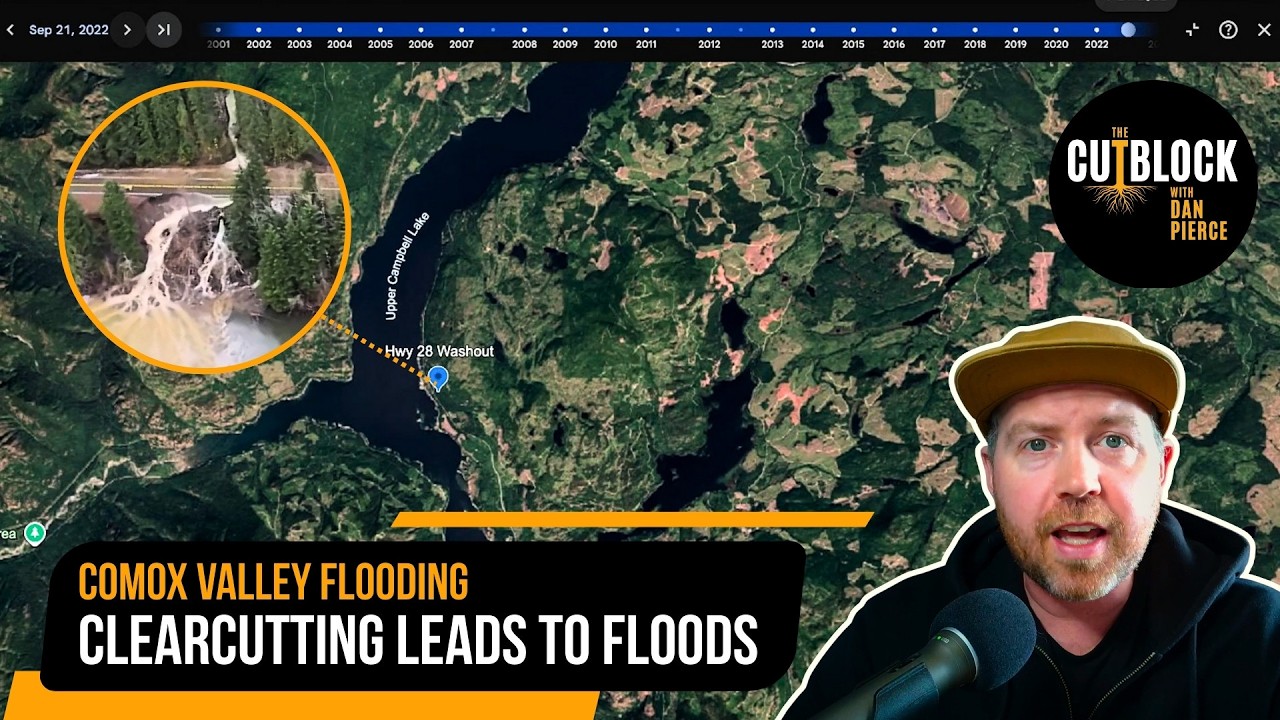 Comox Valley flooding linked to MASSIVE clearcut logging