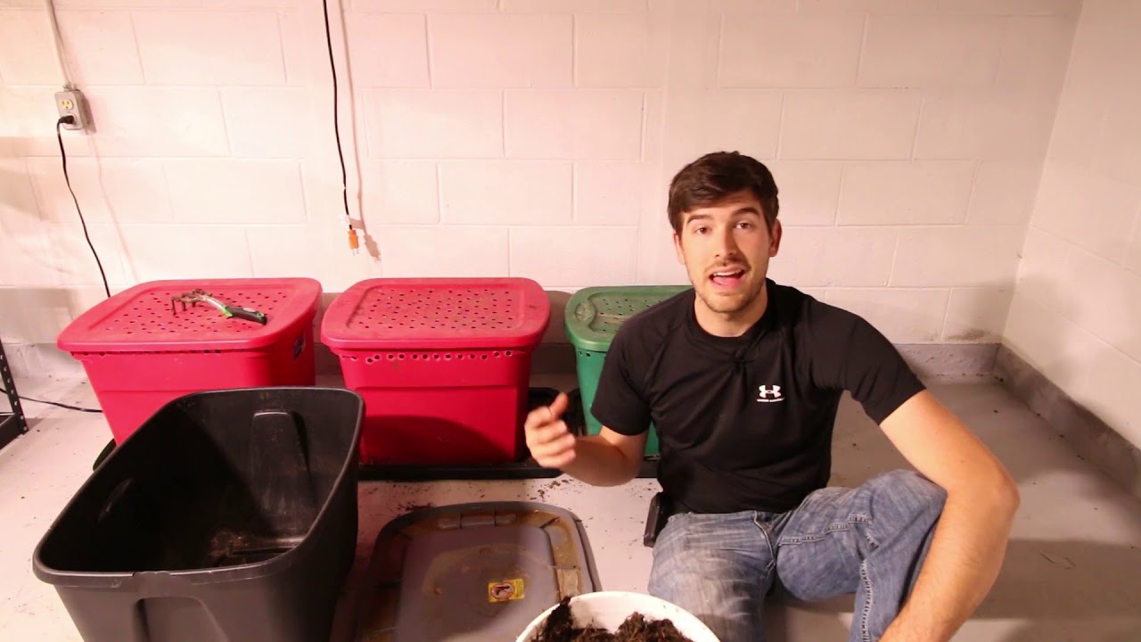 We Built a Worm Bin for $5 and it Was EASY!