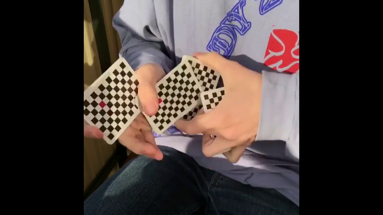 Tobias Levin & Oliver Sogard Cardistry Compilation