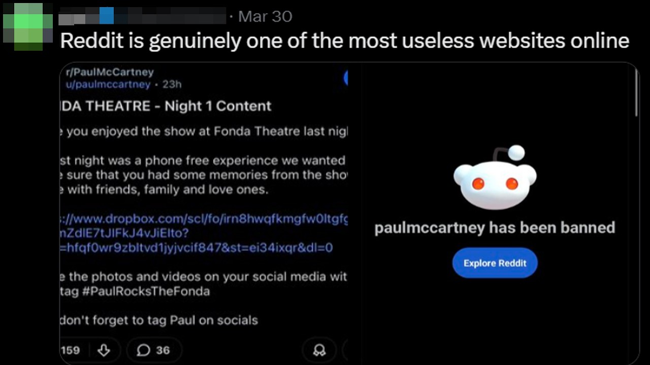 Reddit Situation is Hilarious