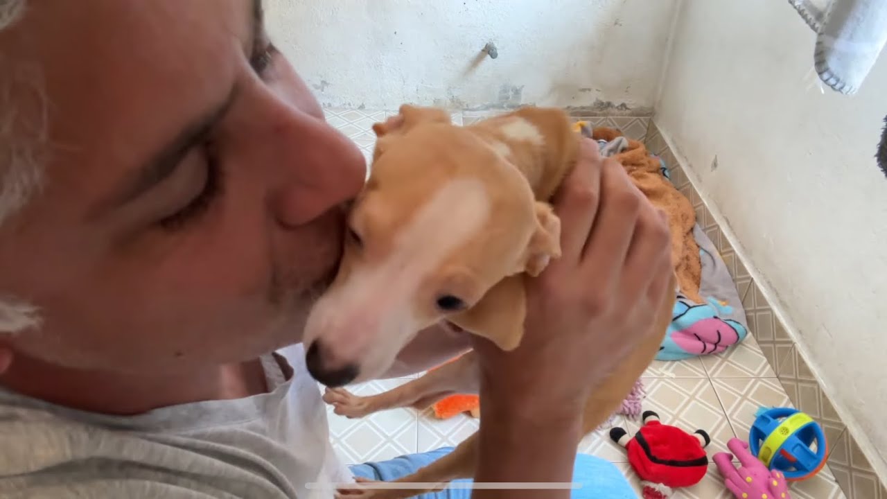 Que difícil dejarlos ir..