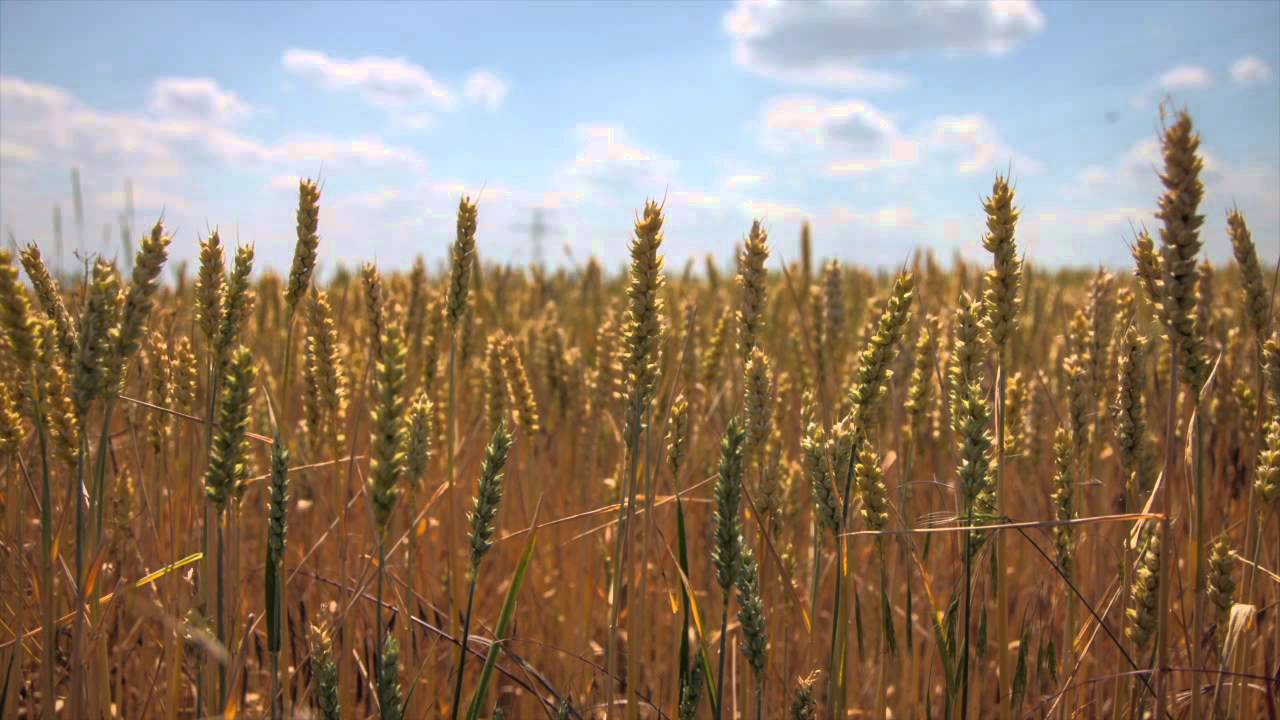 Umzug ins Haus der Maschinenringe