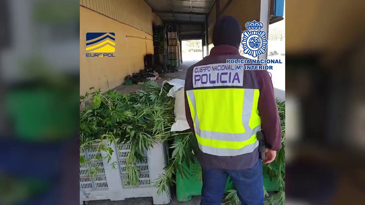 Desarticulada en España una organización multicriminal que operaba desde 2009 en el norte de Europa