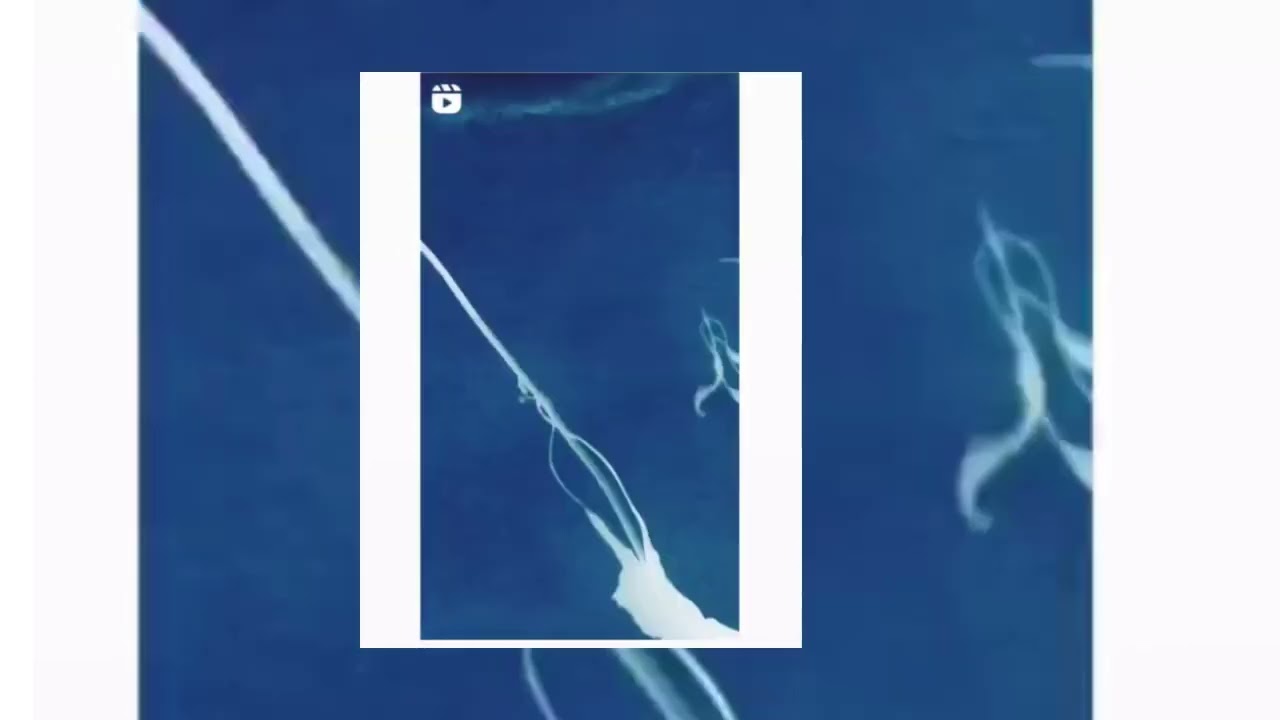 KIMNAMJOON New song video edit song