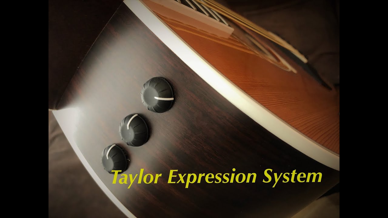 Taylor Expression System