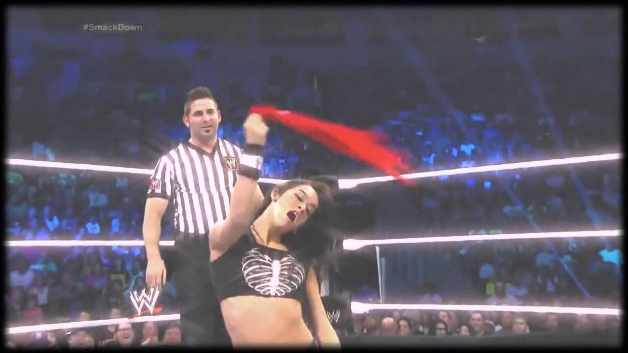 WWE Divas: Botches & Funny Moments.