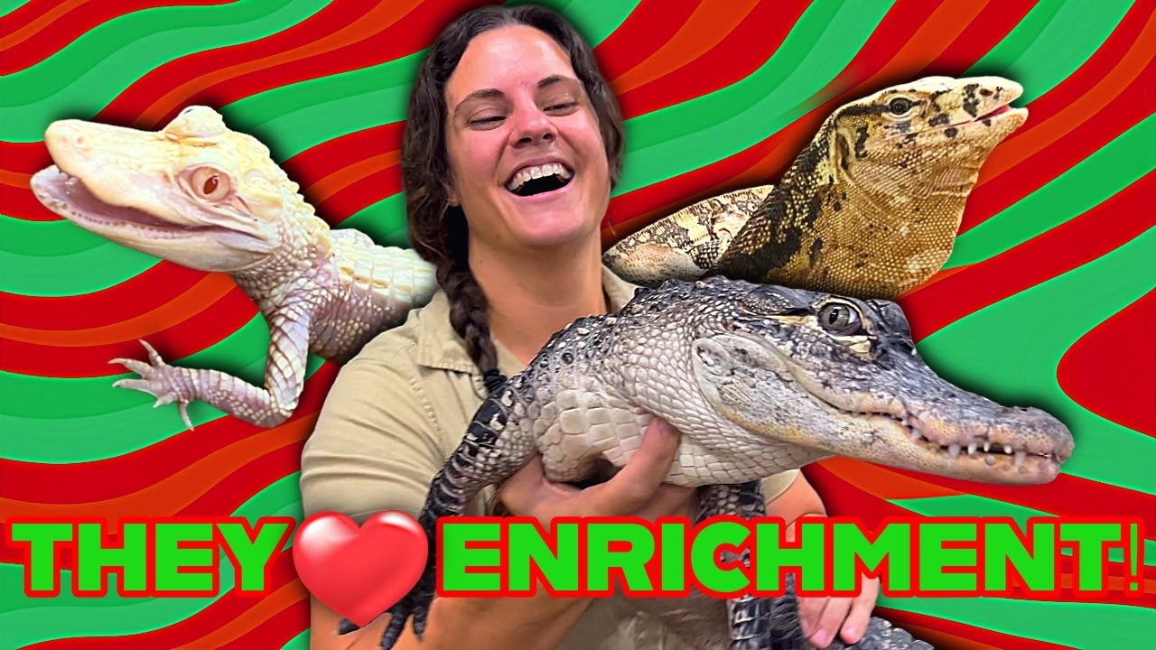 Feeding a Whole Zoo of Reptiles! 🐢🦎🐍