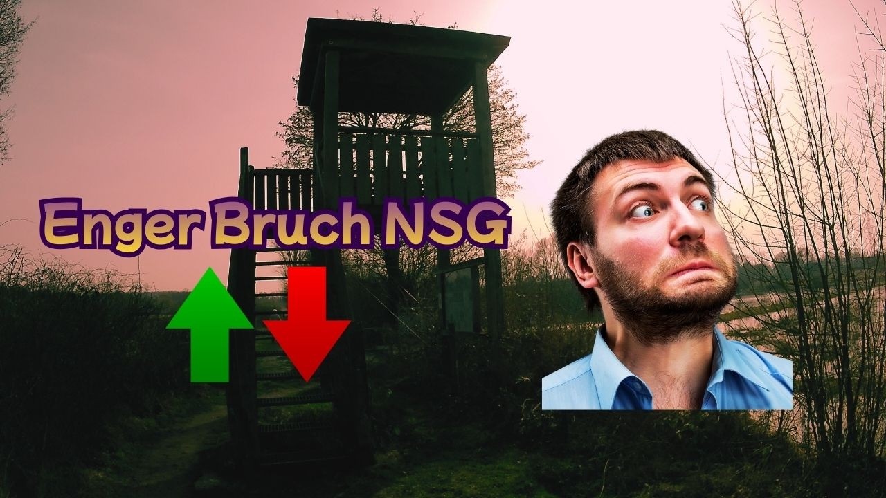 NSG Enger Bruch,Feuchtniederung