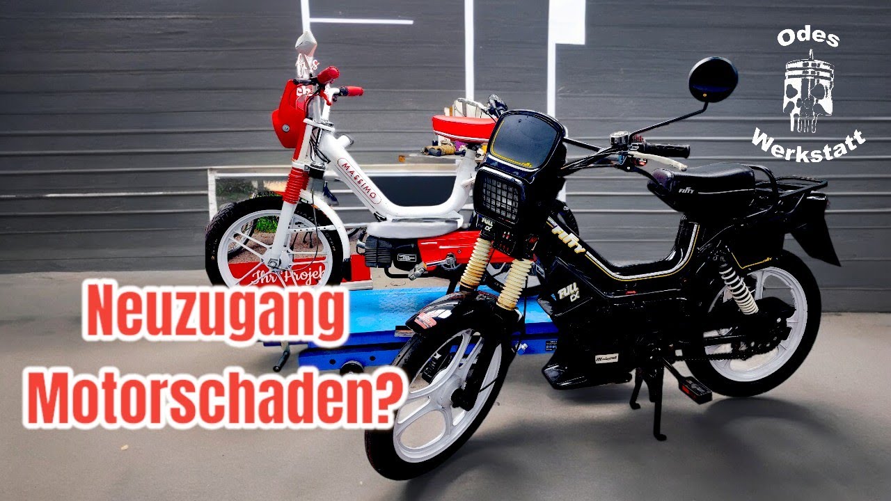 Neuzugang mit Motorschaden und Problemen, Massimo und Fifty