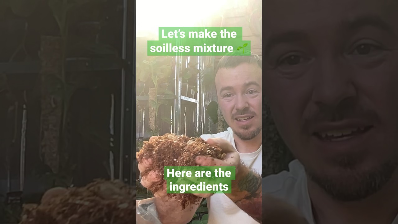 Let&rsquo;s make the soilless potting mixture together #garden #greenhouse #plantdaddy #potting