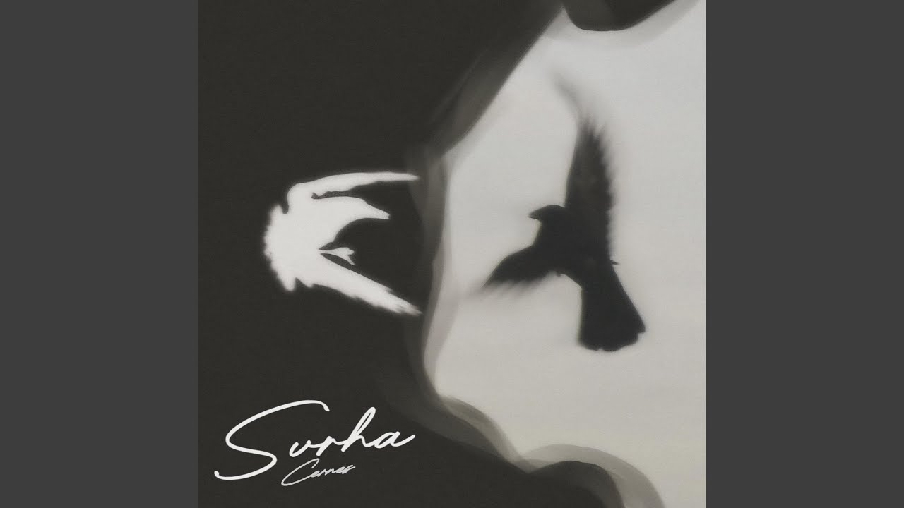 Svrha