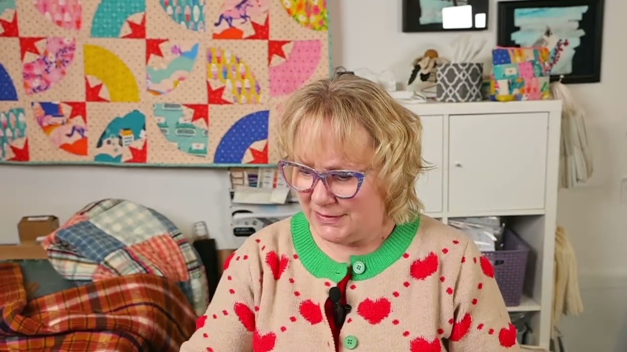 Amys Wednesday Update - February 11, 2026. Pentwater Michigan. Sew Lets Be Quilty
