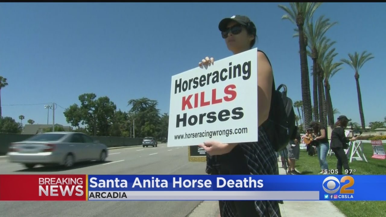 2 More Horses Euthanized At Santa Anita Park