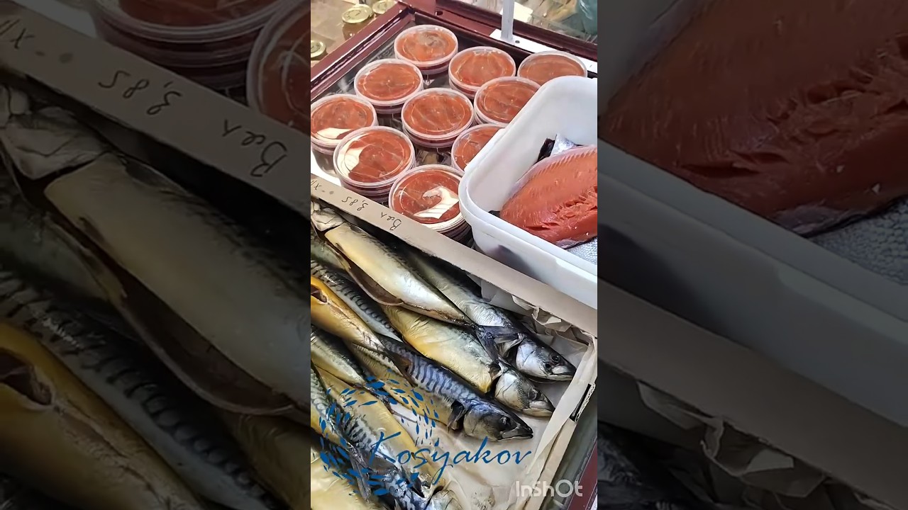 Chinook salmon 