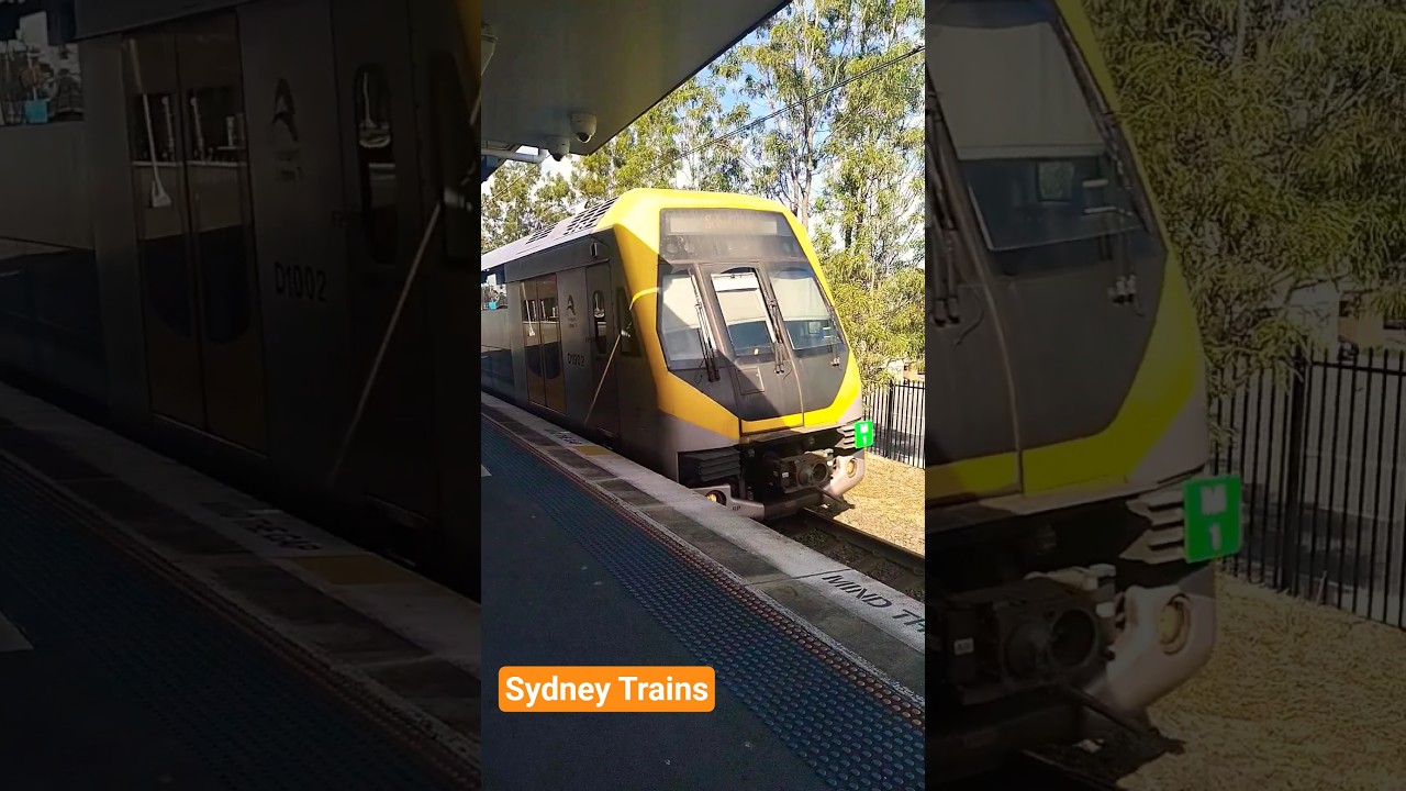 Sydney Trains 🚃 M-set A-set T-set 
