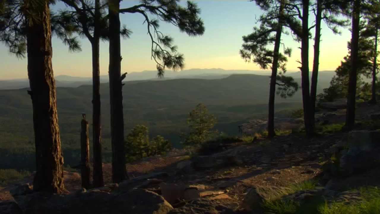 Arizona State of Mind:  Rim Country