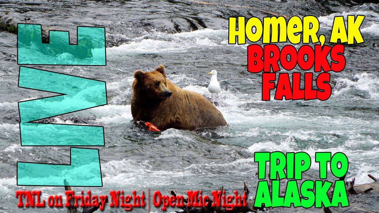 Thursday Night Live | Trip to Alaska | Bears Vs Salmon | Homer Spit | Open Mic Night